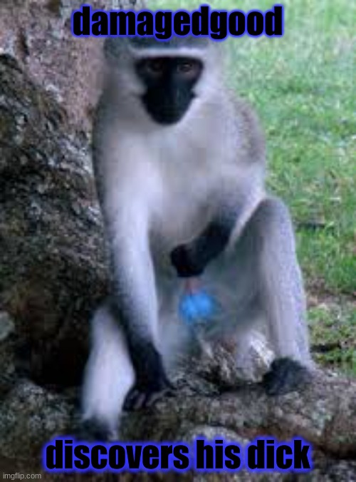 damagedgood discovers his dick | made w/ Imgflip meme maker