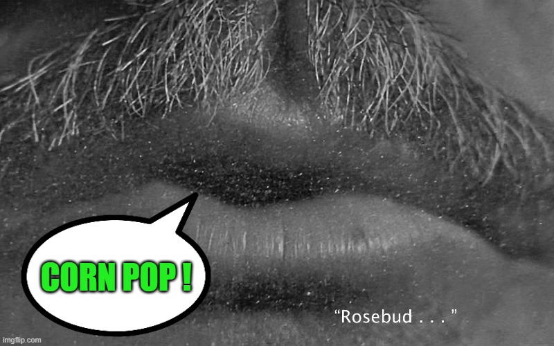 joe biden | CORN POP ! | image tagged in joe biden,communism,democrats,2020 elections | made w/ Imgflip meme maker