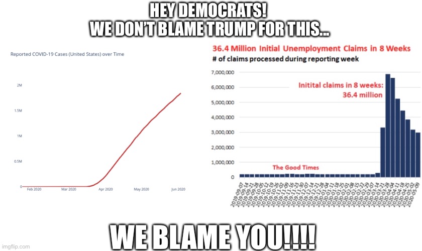 Blame democrats | HEY DEMOCRATS! 
WE DON’T BLAME TRUMP FOR THIS... WE BLAME YOU!!!! | image tagged in blame,democrats,covid-19,unemployment | made w/ Imgflip meme maker