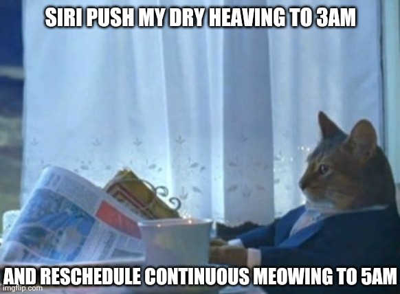 I Should Buy A Boat Cat Meme | SIRI PUSH MY DRY HEAVING TO 3AM; AND RESCHEDULE CONTINUOUS MEOWING TO 5AM | image tagged in memes,i should buy a boat cat | made w/ Imgflip meme maker