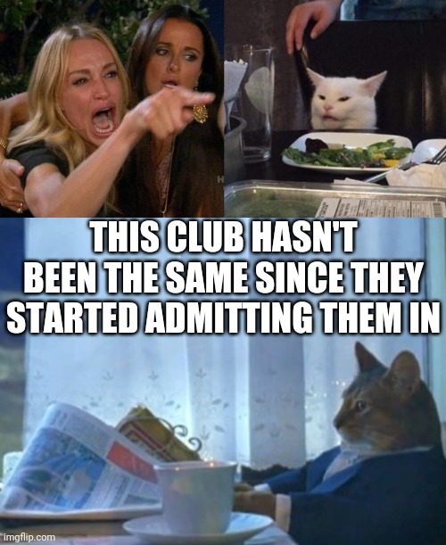 THIS CLUB HASN'T BEEN THE SAME SINCE THEY STARTED ADMITTING THEM IN | image tagged in memes,i should buy a boat cat,woman yelling at cat | made w/ Imgflip meme maker