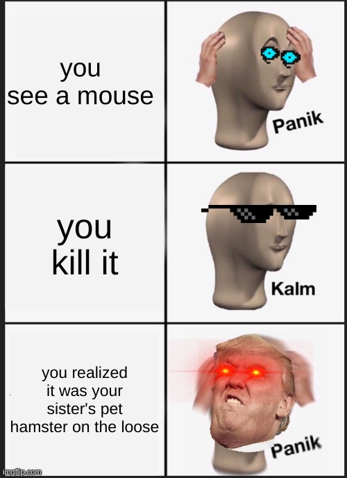SSSSTOOOOOOOPIDDDDD | you see a mouse; you kill it; you realized it was your sister's pet hamster on the loose | image tagged in memes,panik kalm panik | made w/ Imgflip meme maker