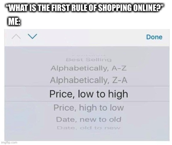 Is this how everyone shops online? | “WHAT IS THE FIRST RULE OF SHOPPING ONLINE?”; ME: | image tagged in shopping,online,price,low,cheap,memes | made w/ Imgflip meme maker