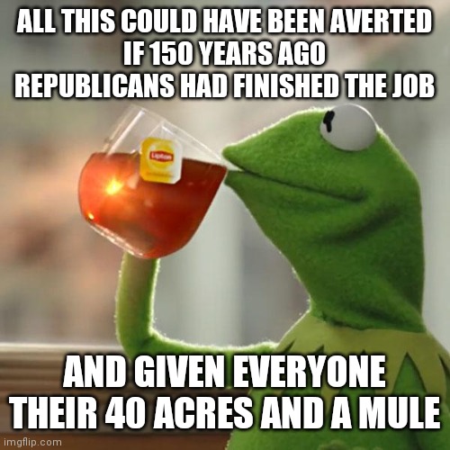 But That's None Of My Business | ALL THIS COULD HAVE BEEN AVERTED
IF 150 YEARS AGO
REPUBLICANS HAD FINISHED THE JOB; AND GIVEN EVERYONE THEIR 40 ACRES AND A MULE | image tagged in memes,but that's none of my business,kermit the frog,republicans | made w/ Imgflip meme maker