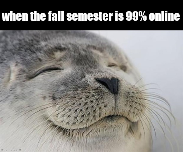 #collegelife | when the fall semester is 99% online | image tagged in memes,satisfied seal | made w/ Imgflip meme maker
