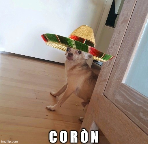 Corona dog | image tagged in covid-19,corona,covid | made w/ Imgflip meme maker