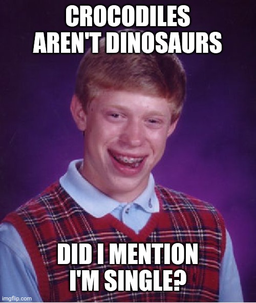 Bad Luck Brian Meme | CROCODILES AREN'T DINOSAURS DID I MENTION I'M SINGLE? | image tagged in memes,bad luck brian | made w/ Imgflip meme maker