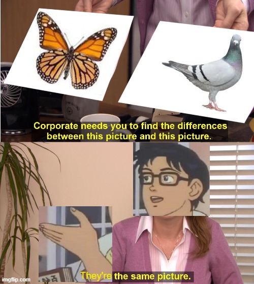 Crossover | They're | image tagged in memes,they're the same picture,is this a pigeon,crossover | made w/ Imgflip meme maker