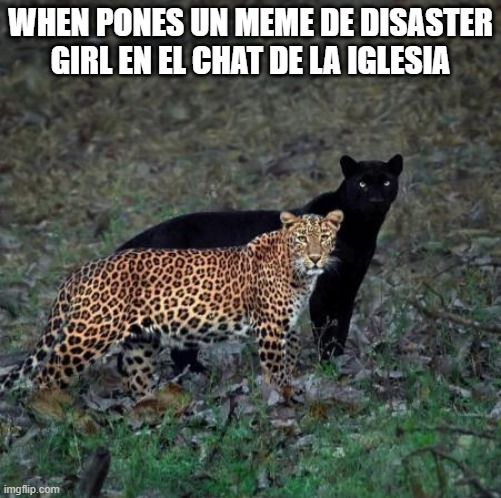 Gato Malo | WHEN PONES UN MEME DE DISASTER GIRL EN EL CHAT DE LA IGLESIA | image tagged in bad soul | made w/ Imgflip meme maker