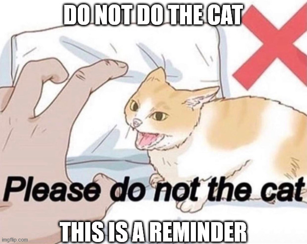 DO NOT DO THE CAT; THIS IS A REMINDER | made w/ Imgflip meme maker