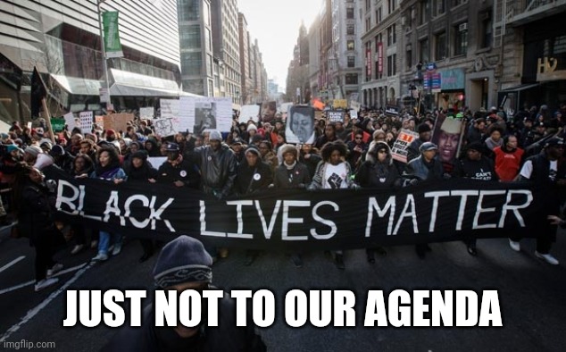 blm | JUST NOT TO OUR AGENDA | image tagged in blm | made w/ Imgflip meme maker