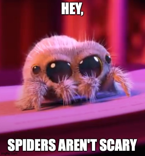 HEY, SPIDERS AREN'T SCARY | made w/ Imgflip meme maker
