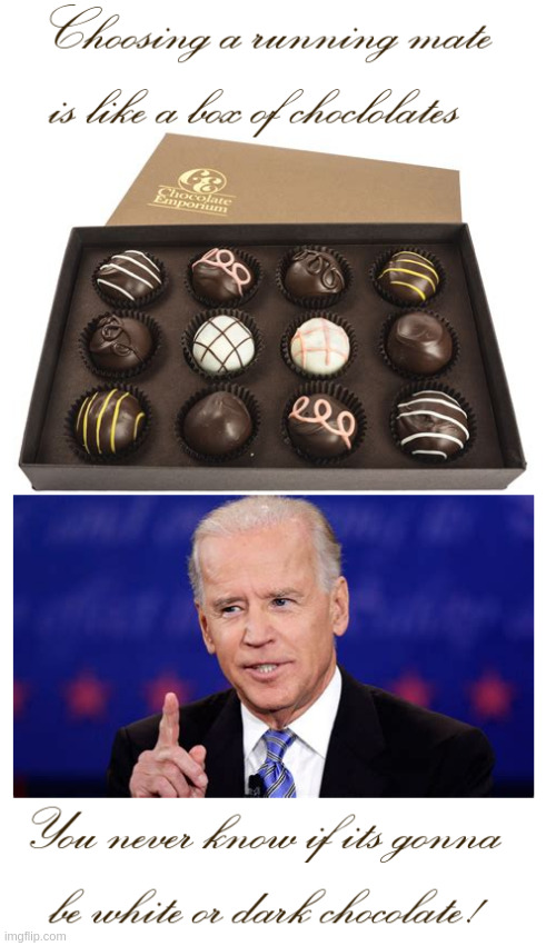 Biden choosing a running mate | image tagged in joe biden | made w/ Imgflip meme maker