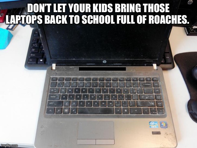 Don’t send this to school with your kids | DON’T LET YOUR KIDS BRING THOSE LAPTOPS BACK TO SCHOOL FULL OF ROACHES. | image tagged in dirty laptop,cockroach,school,nasty,return,memes | made w/ Imgflip meme maker
