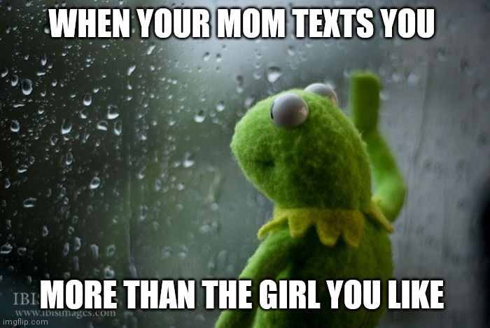 kermit window | WHEN YOUR MOM TEXTS YOU; MORE THAN THE GIRL YOU LIKE | image tagged in kermit window | made w/ Imgflip meme maker