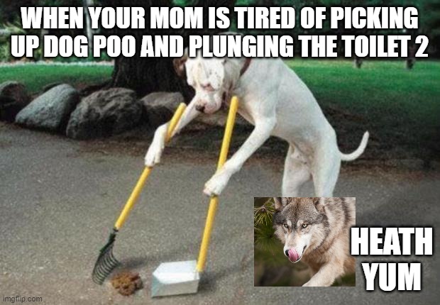 Dog poop | WHEN YOUR MOM IS TIRED OF PICKING UP DOG POO AND PLUNGING THE TOILET 2; HEATH YUM | image tagged in dog poop | made w/ Imgflip meme maker