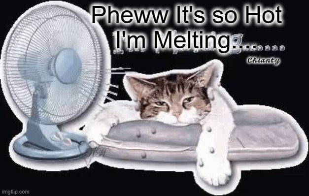 Hot Pheww | Pheww It's so Hot
I'm Melting.... 𝓒𝓱𝓲𝓪𝓷𝓽𝔂 | image tagged in melting | made w/ Imgflip meme maker