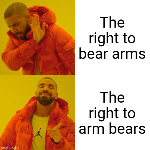 Drake Hotline Bling Meme | The right to bear arms The right to arm bears | image tagged in memes,drake hotline bling | made w/ Imgflip meme maker