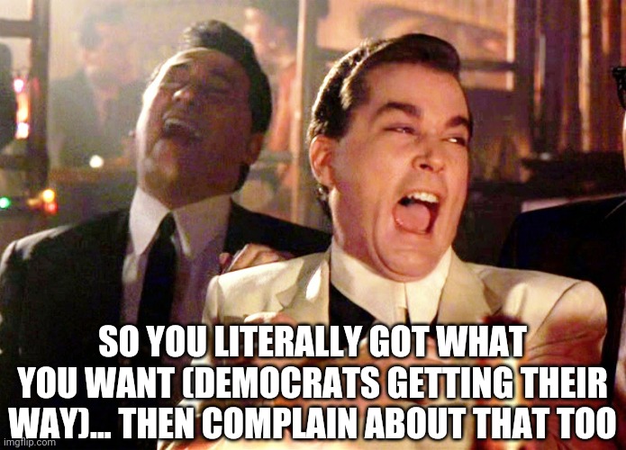 Good Fellas Hilarious Meme | SO YOU LITERALLY GOT WHAT YOU WANT (DEMOCRATS GETTING THEIR WAY)... THEN COMPLAIN ABOUT THAT TOO | image tagged in memes,good fellas hilarious | made w/ Imgflip meme maker