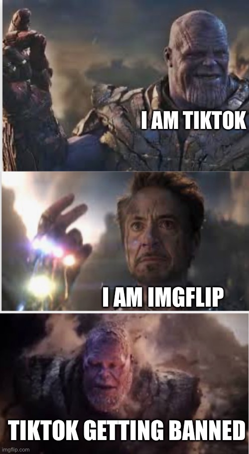 Tiktok vs. iron man | I AM TIKTOK; I AM IMGFLIP; TIKTOK GETTING BANNED | image tagged in avengers endgame | made w/ Imgflip meme maker