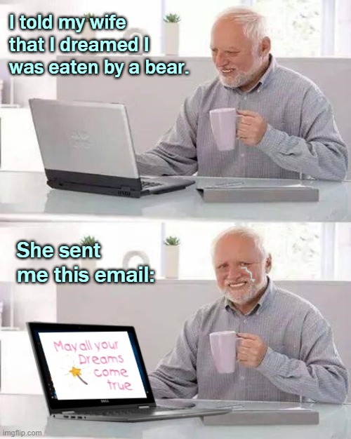 So thoughtful... | I told my wife that I dreamed I was eaten by a bear. She sent me this email: | image tagged in hide the pain harold,dreams,memes,funny memes | made w/ Imgflip meme maker