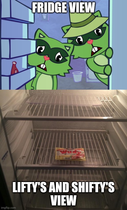 FRIDGE VIEW; LIFTY'S AND SHIFTY'S
VIEW | image tagged in empty fridge,lifty  shifty awwwww htf | made w/ Imgflip meme maker