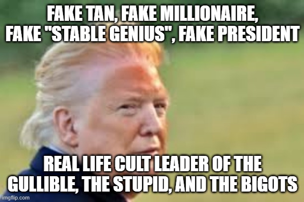 The reality of Trumpism | FAKE TAN, FAKE MILLIONAIRE, FAKE "STABLE GENIUS", FAKE PRESIDENT; REAL LIFE CULT LEADER OF THE GULLIBLE, THE STUPID, AND THE BIGOTS | image tagged in donald trump,trump supporters,republicans,tanning | made w/ Imgflip meme maker