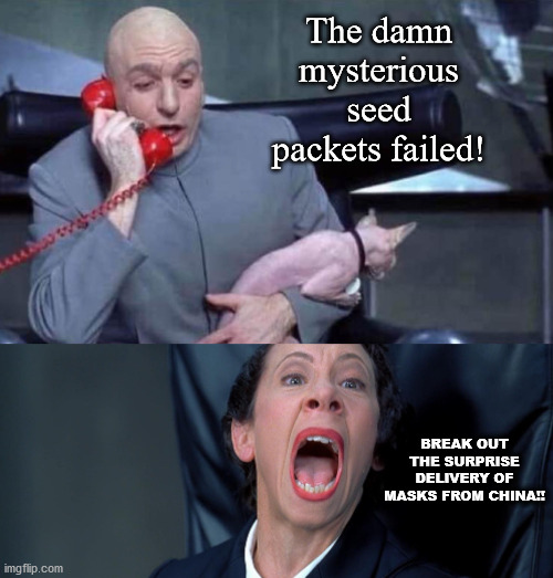 China seeds to China masks | The damn mysterious seed packets failed! BREAK OUT THE SURPRISE DELIVERY OF MASKS FROM CHINA!! | image tagged in dr evil and frau | made w/ Imgflip meme maker