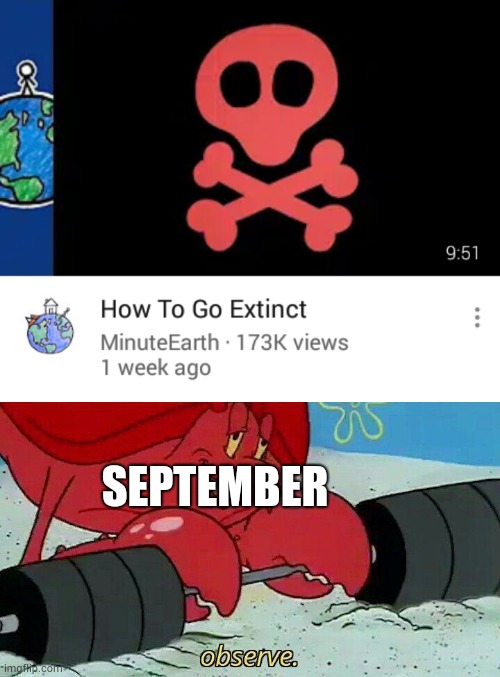SEPTEMBER | image tagged in observe,memes,2020,funny | made w/ Imgflip meme maker