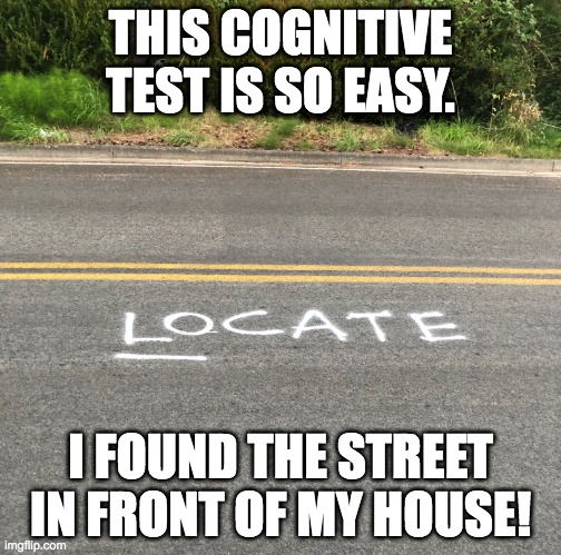 cognitive test | THIS COGNITIVE TEST IS SO EASY. I FOUND THE STREET IN FRONT OF MY HOUSE! | image tagged in memes | made w/ Imgflip meme maker