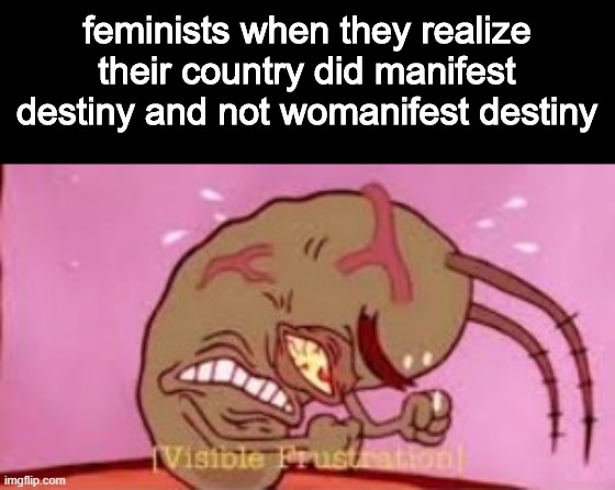 Visible Frustration | feminists when they realize their country did manifest destiny and not womanifest destiny | image tagged in visible frustration | made w/ Imgflip meme maker
