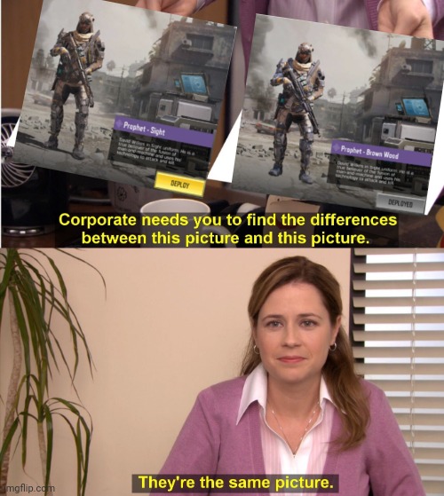 The same picture | image tagged in memes,they're the same picture | made w/ Imgflip meme maker