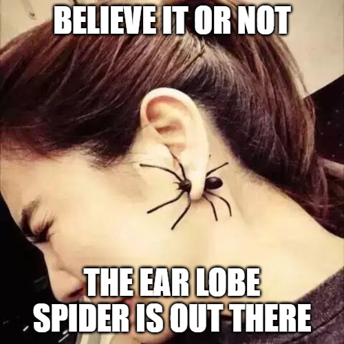 They exist | BELIEVE IT OR NOT; THE EAR LOBE SPIDER IS OUT THERE | image tagged in spiders,memes,fun,funny,funny memes,2020 | made w/ Imgflip meme maker