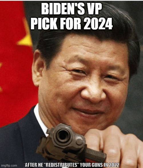 Biden Campaign for 2024 | BIDEN'S VP PICK FOR 2024; *AFTER HE "REDISTRIBUTES" YOUR GUNS IN 2022 | image tagged in xi jinping,politics | made w/ Imgflip meme maker
