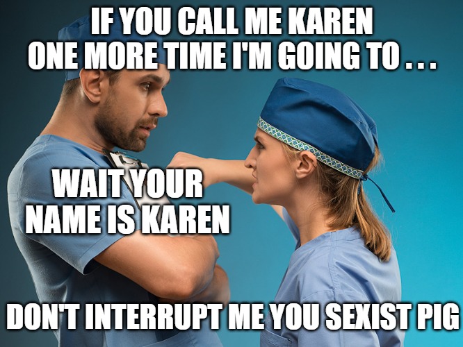 Karens who are in denial | IF YOU CALL ME KAREN
ONE MORE TIME I'M GOING TO . . . WAIT YOUR NAME IS KAREN; DON'T INTERRUPT ME YOU SEXIST PIG | image tagged in karen,sexist,memes,fun,funny,2020 | made w/ Imgflip meme maker
