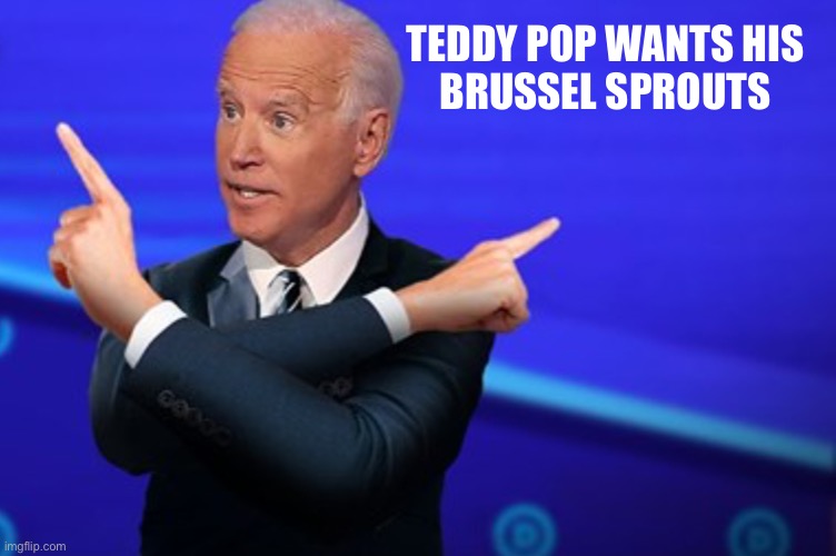 TEDDY POP WANTS HIS
BRUSSEL SPROUTS | made w/ Imgflip meme maker