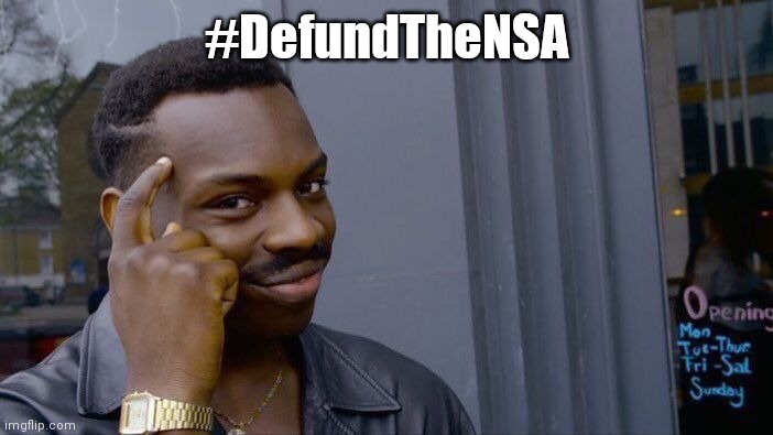 Roll Safe Think About It | #DefundTheNSA | image tagged in memes,roll safe think about it | made w/ Imgflip meme maker