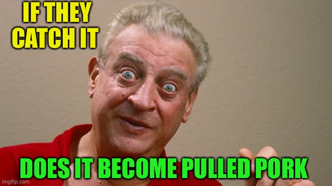 Rodney Dangerfield | IF THEY CATCH IT DOES IT BECOME PULLED PORK | image tagged in rodney dangerfield | made w/ Imgflip meme maker