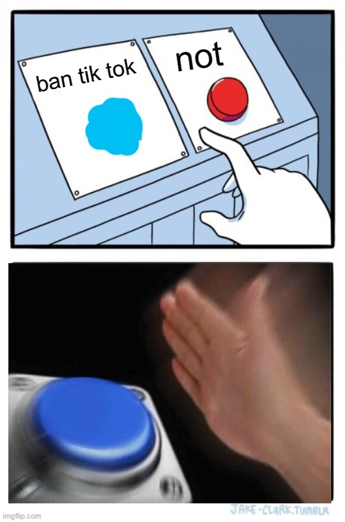 Two Buttons | not; ban tik tok | image tagged in memes,two buttons | made w/ Imgflip meme maker