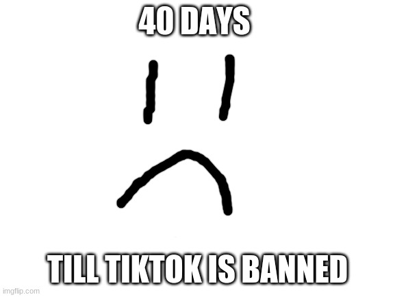 Blank White Template | 40 DAYS TILL TIKTOK IS BANNED | image tagged in blank white template | made w/ Imgflip meme maker