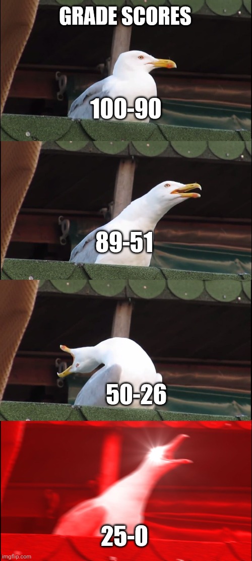 Inhaling Seagull | GRADE SCORES; 100-90; 89-51; 50-26; 25-0 | image tagged in memes,inhaling seagull | made w/ Imgflip meme maker