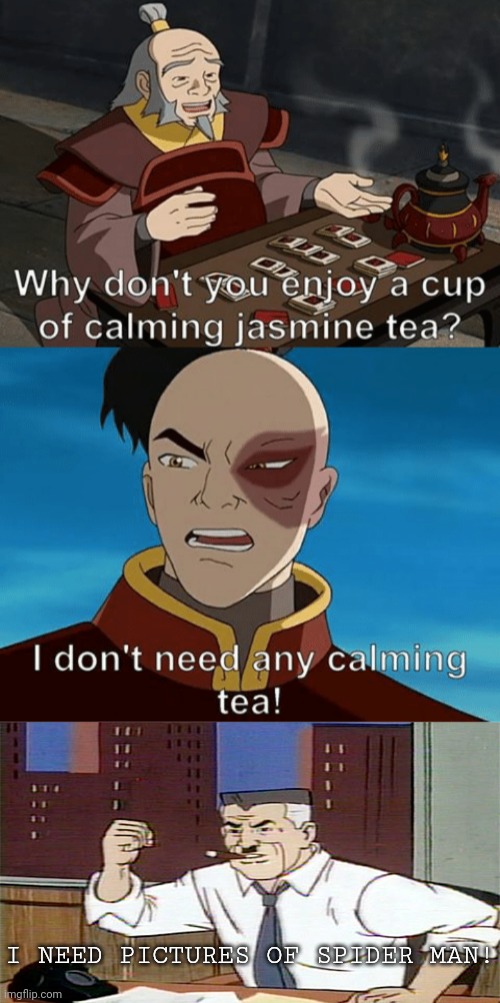 I NEED PICTURES OF SPIDER MAN! | image tagged in bring me pictures of spiderman,avatar the last airbender,crossover | made w/ Imgflip meme maker