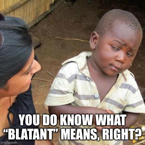 Third World Skeptical Kid Meme | YOU DO KNOW WHAT “BLATANT” MEANS, RIGHT? | image tagged in memes,third world skeptical kid | made w/ Imgflip meme maker
