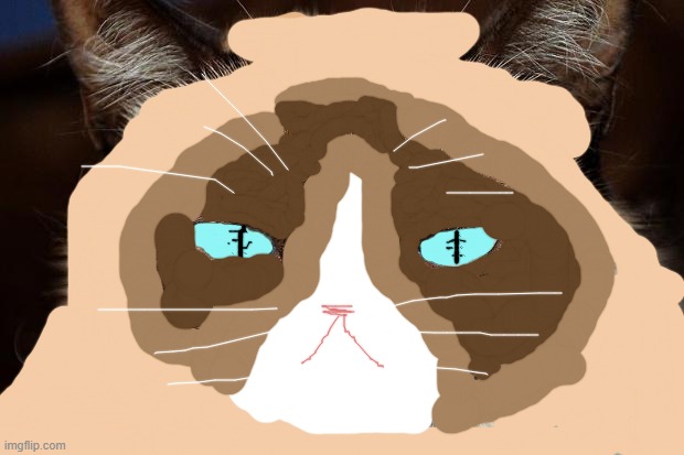 Grumpy cat | image tagged in memes,grumpy cat not amused,grumpy cat | made w/ Imgflip meme maker