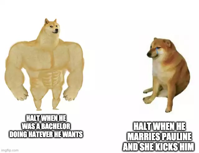 Buff Doge vs. Cheems Meme | HALT WHEN HE MARRIES PAULINE AND SHE KICKS HIM; HALT WHEN HE WAS A BACHELOR DOING HATEVER HE WANTS | image tagged in buff doge vs cheems | made w/ Imgflip meme maker