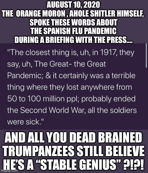 Spanish Flu | AUGUST 10, 2020
THE  ORANGE MORON , AHOLE SHITLER HIMSELF, 
SPOKE THESE WORDS ABOUT THE SPANISH FLU PANDEMIC DURING A BRIEFING WITH THE PRESS.... AND ALL YOU DEAD BRAINED TRUMPANZEES STILL BELIEVE HE’S A “STABLE GENIUS” ?!?! | image tagged in donald trump,orange,moron,spanish flu | made w/ Imgflip meme maker