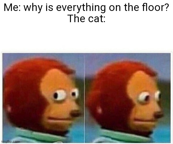 Monkey Puppet | Me: why is everything on the floor?
The cat: | image tagged in memes,monkey puppet | made w/ Imgflip meme maker