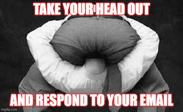 Head up ass  | TAKE YOUR HEAD OUT; AND RESPOND TO YOUR EMAIL | image tagged in head up ass | made w/ Imgflip meme maker