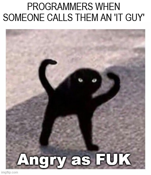 it guy | PROGRAMMERS WHEN SOMEONE CALLS THEM AN 'IT GUY'; Angry as FUK | image tagged in angry as fuk | made w/ Imgflip meme maker