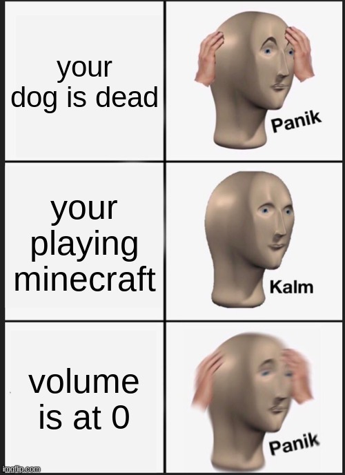 rip dogo brother 2017-2020 :(] | your dog is dead; your playing minecraft; volume is at 0 | image tagged in memes,panik kalm panik | made w/ Imgflip meme maker